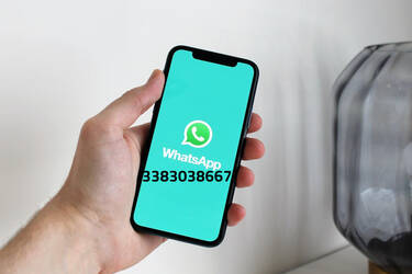 Immagine servizio whatsapp