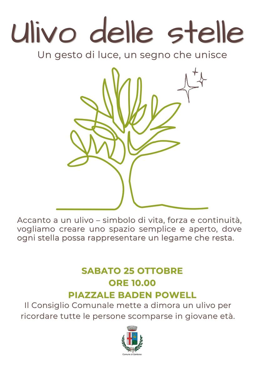 ulivo_delle stelle