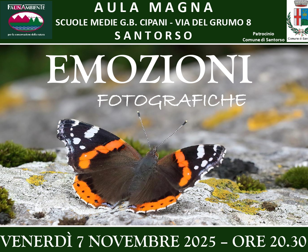locandine emozioni fotografiche