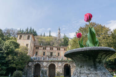 Immagine: Villa Parco Rossi